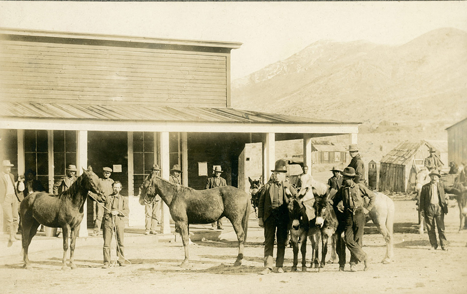 general store